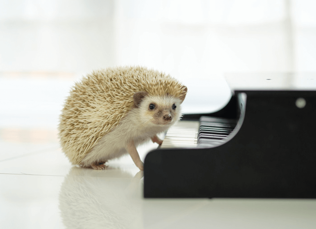 「ピアノは高い」という誤解の正体-ONFAN